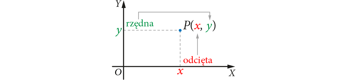 Punkt P(x, y) w układzie współrzędnych. Na czerwono zaznaczona odcięta, a na zielono rzędna.