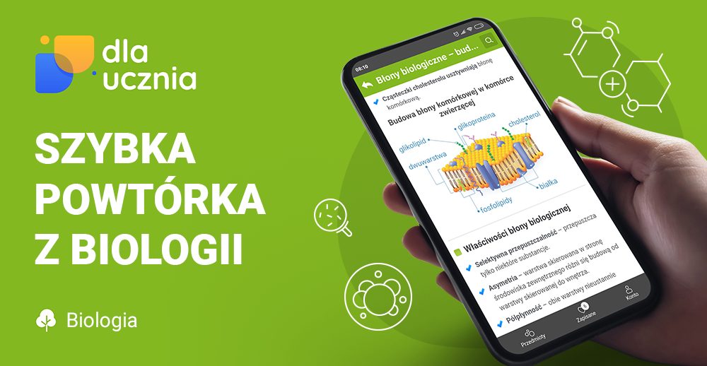 łańcuchy Pokarmowe Przykłady Składniki pokarmowe. Białka, cukry i tłuszcze - dlaucznia.pl