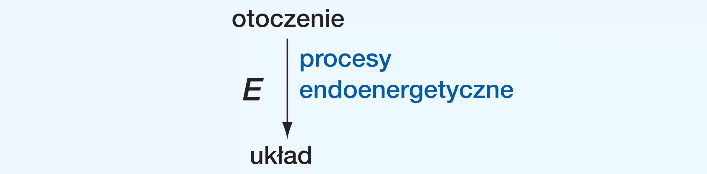 uklad otwarty endo