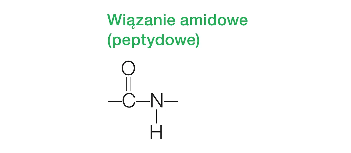 Wiązanie peptydowe