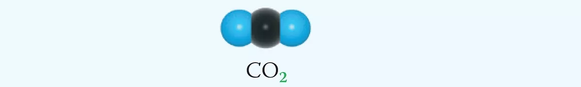 model tlenku węgla(IV)