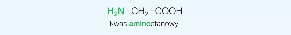 nazwa aminokwasu