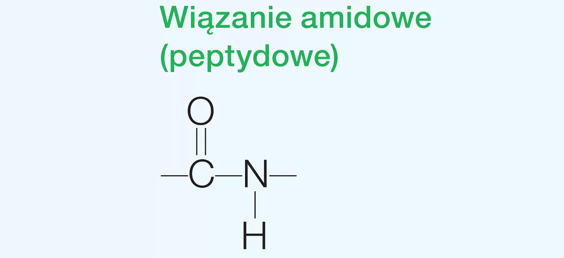 Wiązanie peptydowe