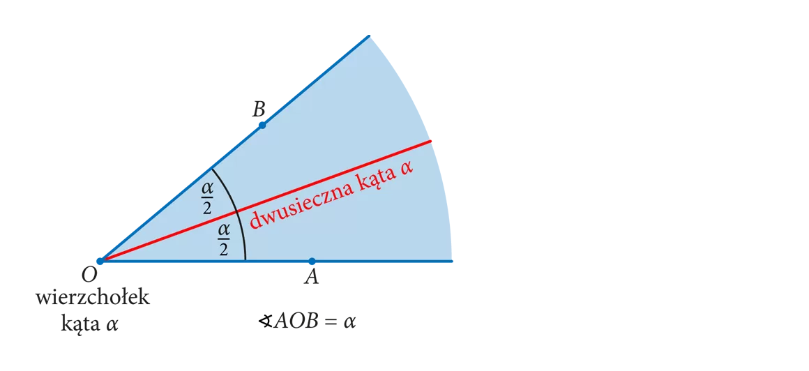 Kąt AOB = α. Z wierzchołka O kąta α wychodzi czerwona półprosta dzieląca kąt na 2 równe kąty α/2, czyli dwusieczna kąta α.