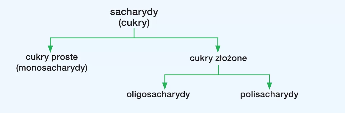 podział monosacharydów