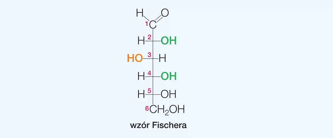 wzór Fischera