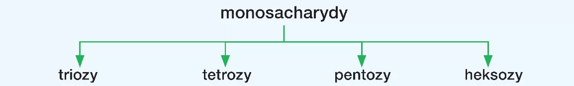 podział monosacharydów ze względu na liczbę atomów węgla w czasteczce