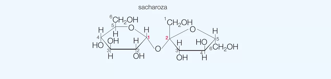 Wzór sacharoza